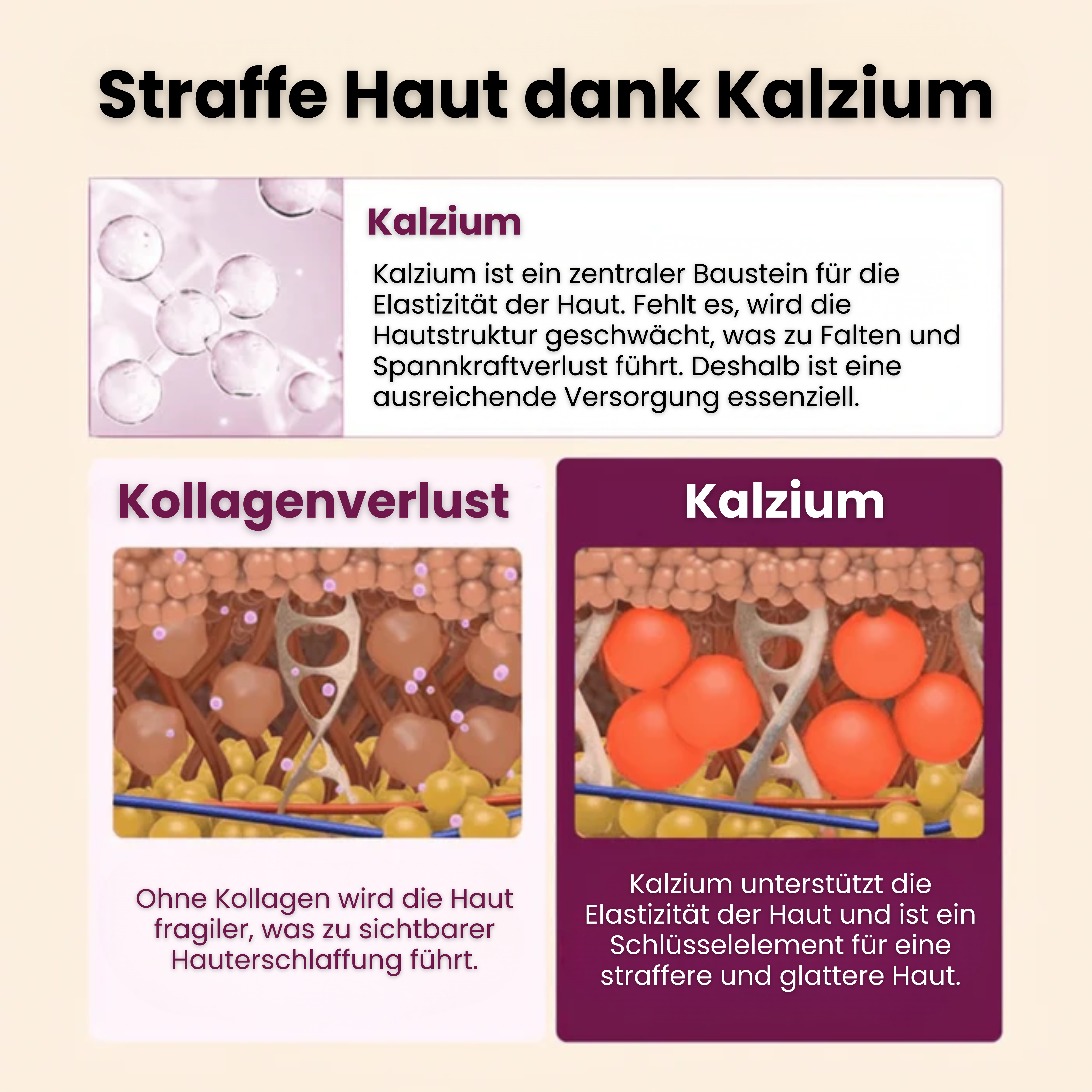 Anti-Falten-Stick mit Kalzium – Strafft & Verjüngt das Gesicht | Kalzium- & Kollagen-Formel mit patentiertem Ribornic-Komplex